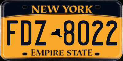NY license plate FDZ8022