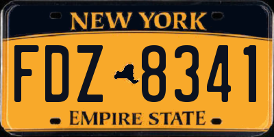 NY license plate FDZ8341