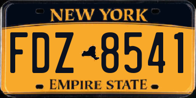NY license plate FDZ8541