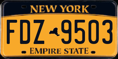 NY license plate FDZ9503