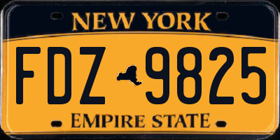 NY license plate FDZ9825