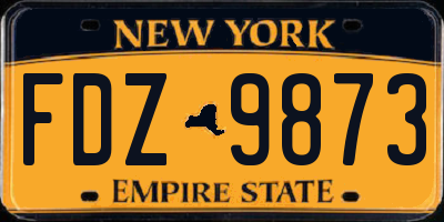 NY license plate FDZ9873