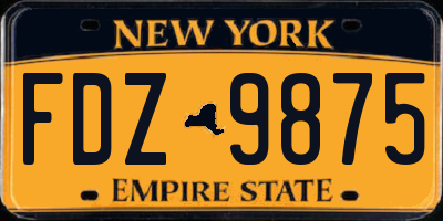 NY license plate FDZ9875