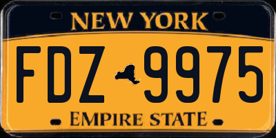 NY license plate FDZ9975
