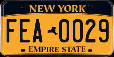 NY license plate FEA0029