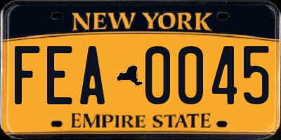 NY license plate FEA0045