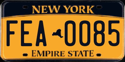 NY license plate FEA0085