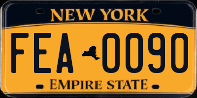 NY license plate FEA0090