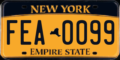 NY license plate FEA0099