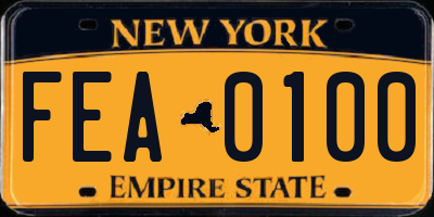 NY license plate FEA0100