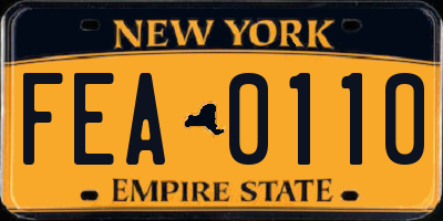 NY license plate FEA0110