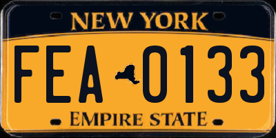 NY license plate FEA0133