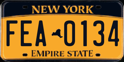 NY license plate FEA0134