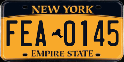 NY license plate FEA0145