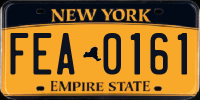 NY license plate FEA0161