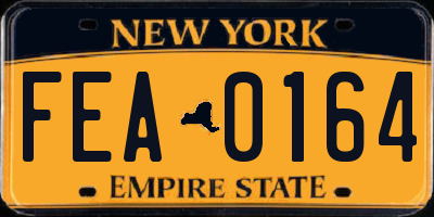 NY license plate FEA0164
