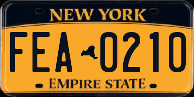 NY license plate FEA0210