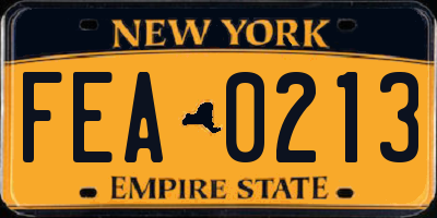 NY license plate FEA0213