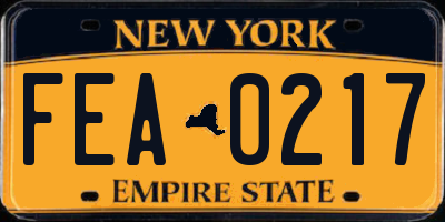 NY license plate FEA0217