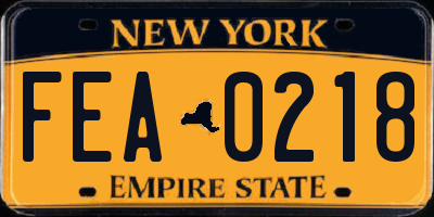 NY license plate FEA0218