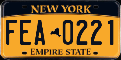NY license plate FEA0221