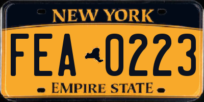 NY license plate FEA0223
