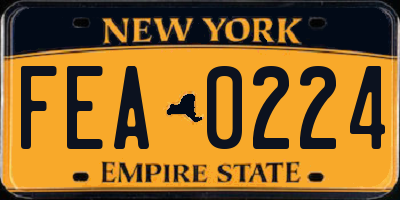 NY license plate FEA0224