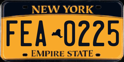 NY license plate FEA0225