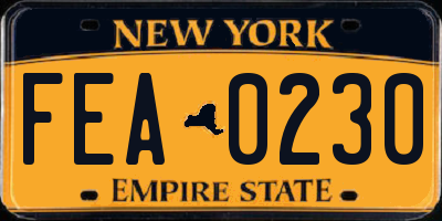 NY license plate FEA0230