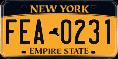 NY license plate FEA0231