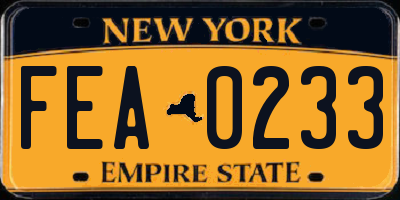 NY license plate FEA0233