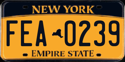 NY license plate FEA0239