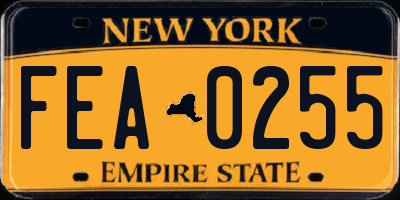 NY license plate FEA0255