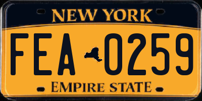 NY license plate FEA0259