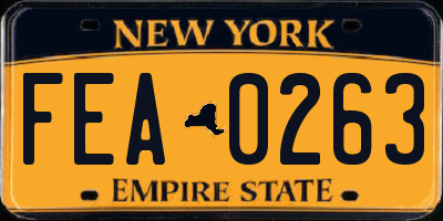 NY license plate FEA0263