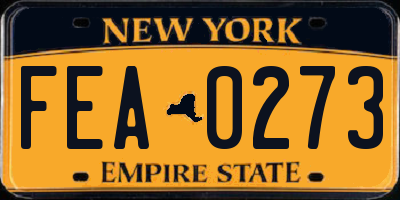 NY license plate FEA0273
