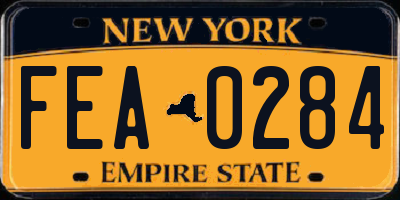 NY license plate FEA0284