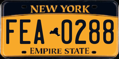 NY license plate FEA0288