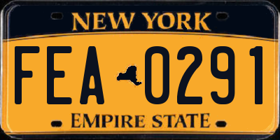 NY license plate FEA0291
