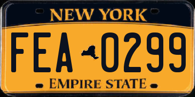 NY license plate FEA0299