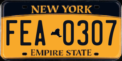 NY license plate FEA0307