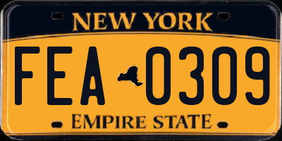 NY license plate FEA0309