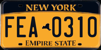 NY license plate FEA0310