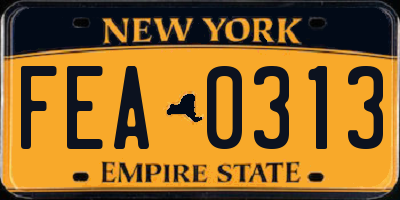 NY license plate FEA0313