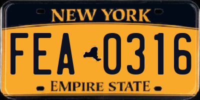 NY license plate FEA0316