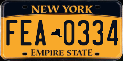 NY license plate FEA0334