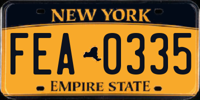 NY license plate FEA0335