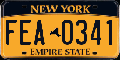 NY license plate FEA0341