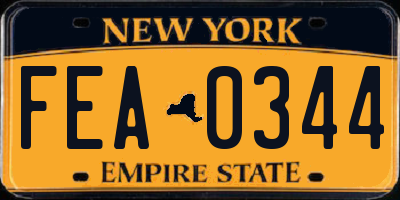 NY license plate FEA0344