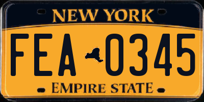 NY license plate FEA0345